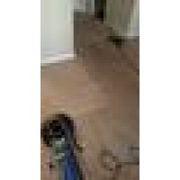 Platinum Carpet Cleaning Logo