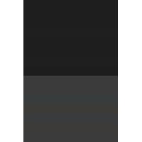 Navy Blue Cruises Logo
