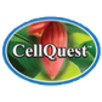 Cellquest Inc Logo