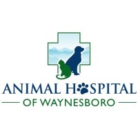 Animal Hospital Of Waynesboro Logo