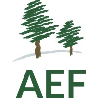 American Endowment Foundation Logo