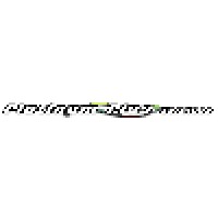 Platinum Plus Cleaning Service Logo