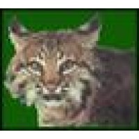 Bell Wildlife Specialties Logo