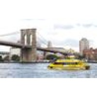 Nyc Transportation Inc Logo