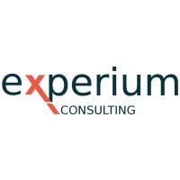 Experium Consulting Logo