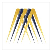 MetaSense Marketing Logo