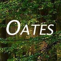 Wayne Oates Institute Logo