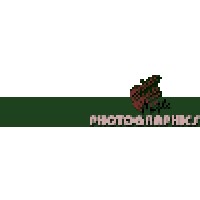 Apple Photographics Logo