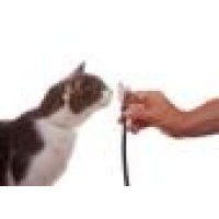 Cole Animal Clinic Logo