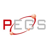 Plant Engineering & Geomatic Services Pvt.Ltd. Logo