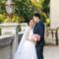 Bluefish Photography Logo