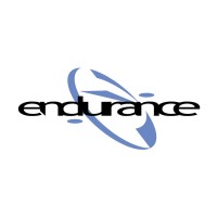 Endurance Enterprises Inc Logo