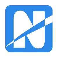 Net Surfing Srl Logo