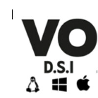 VO DSI Logo