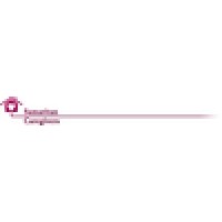 Samaritan Caregivers Inc Logo