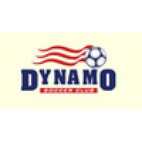Shanes Accounting Solutions Logo