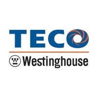 Teco-Westinghouse Motor Company (Mexico) Logo