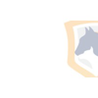 Options For Animals Logo