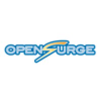 OpenSurge Group Logo