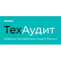 TechAudit Logo