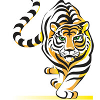 Arcadia Valley High School Logo