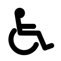 Lone Star Access, Inc. Logo