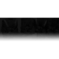 Paragone Rigging Logo