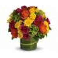 Ace Flowers Logo