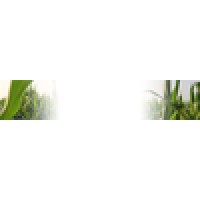 Park Farms Computer Systems Logo