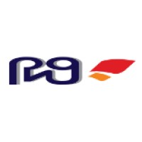 PNG Corporation Logo