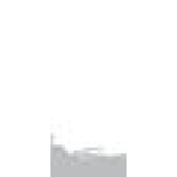 Daniels Petroleum Company Logo