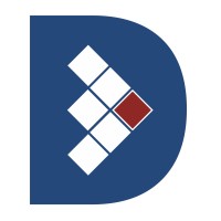 Danush Systems and Solutions Logo