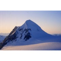 First Alverstone Capital Ltd Logo