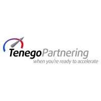 Tenego Partnering Logo