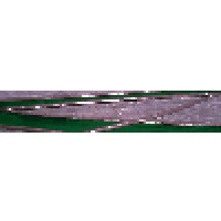 Guyett Stained Glass Logo