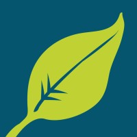 Sinuate Media Logo