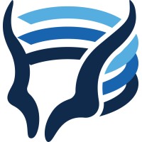 Vizuri Logo