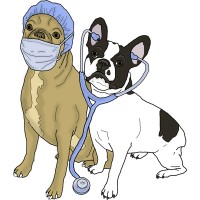 Pittsfield Veterinary Hospital Logo