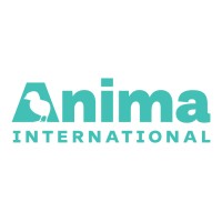 Anima International Logo