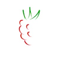 Raspberry Software Systems Limited Logo