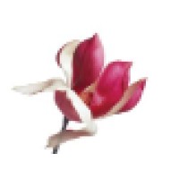 Psychologically Minded Logo