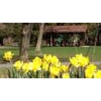 Town Of Marcellus Logo