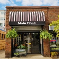 Main Floral Logo