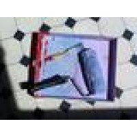 Romanov Painting Logo
