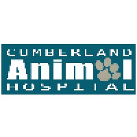 Cumberland Veterinary Hospital Logo