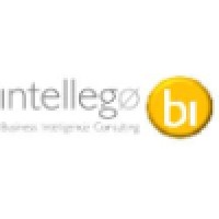 Intellego BI Logo
