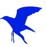 National Free Flight Society Logo