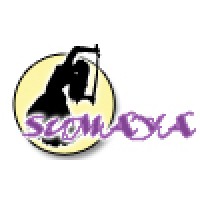 Belly Dancer Sumaya Logo