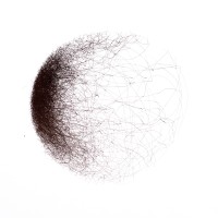 Collective Transitions Logo