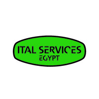 Ital Services Egypt Logo